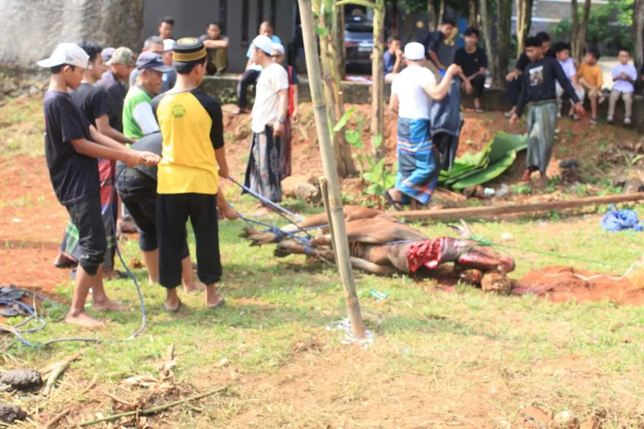 Gandeng Warga Kinan City, Jaringan Jurnalis Bogor Salurkan Hewan Kurban