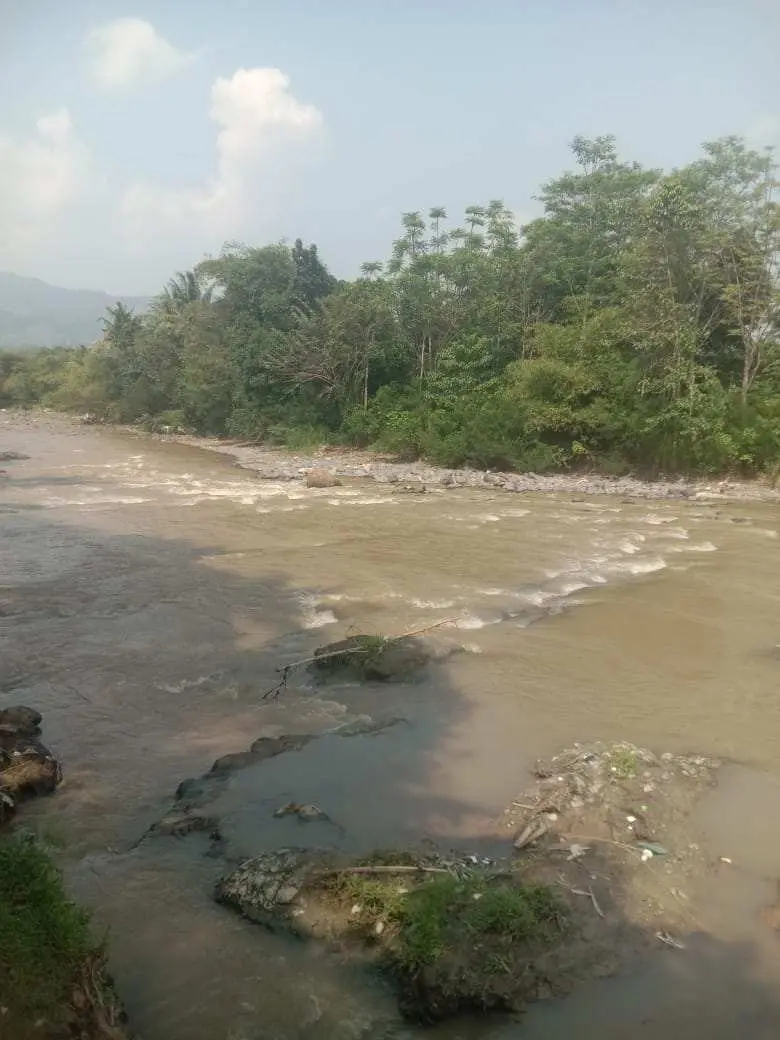 Baru Kemarin Jernih Sungai Cikaniki Kecamatan Nanggung Kembali Keruh