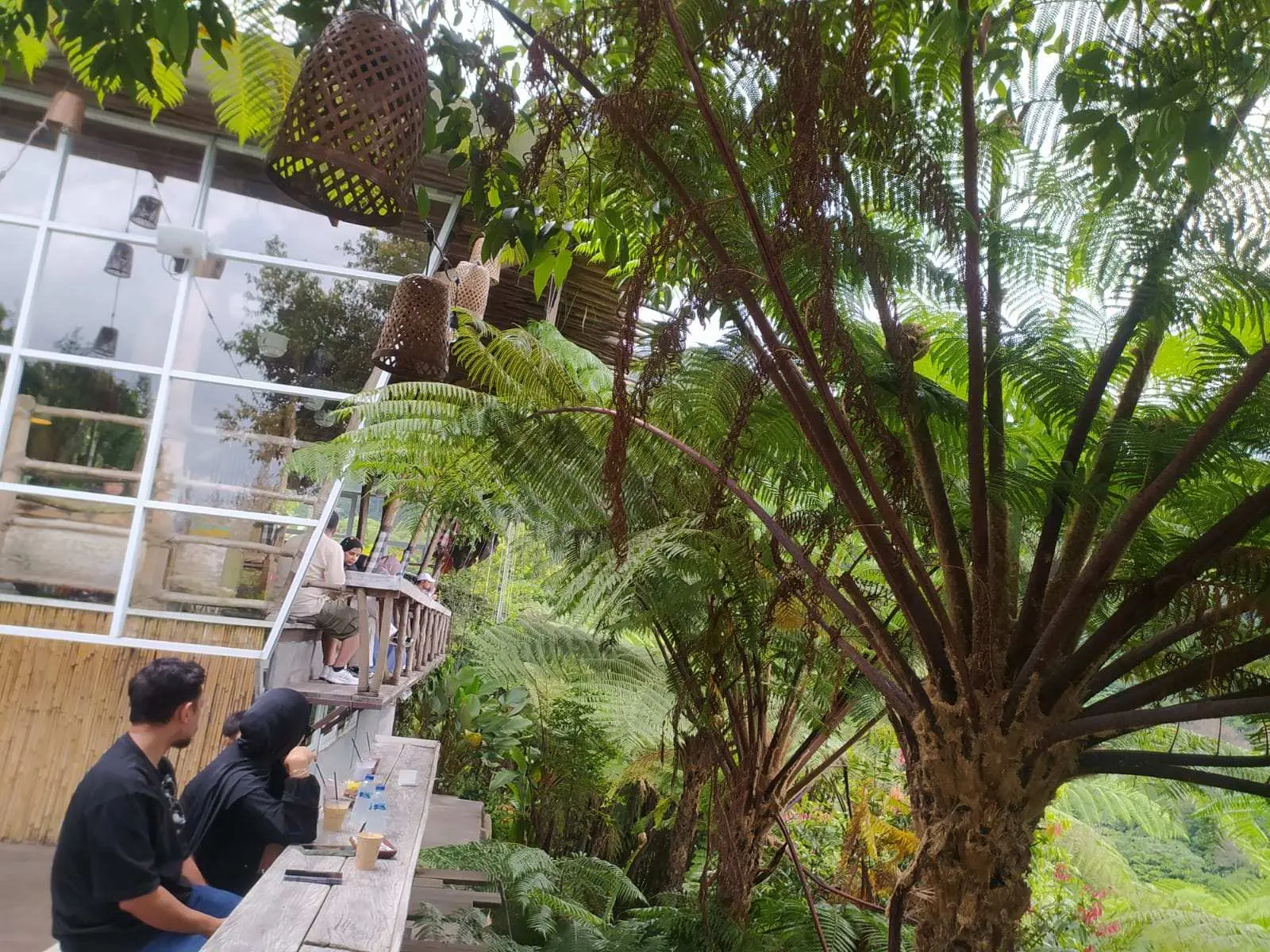 Pakis Hills ECO Park Puncak: Surga Healing Alami, Segera Hadir Warung Mie Hits untuk Nongkrong Murah, Rasa Mewah!