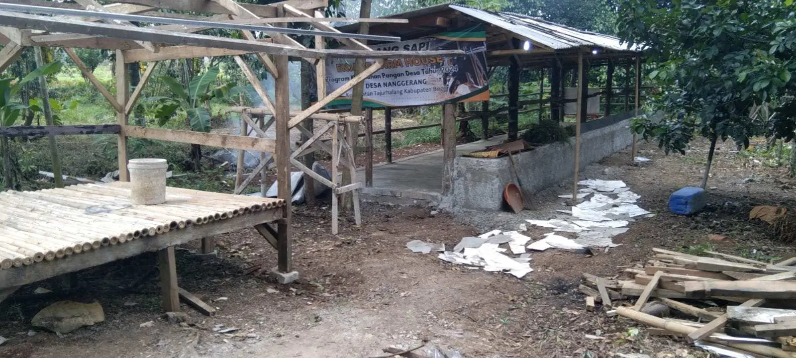 Pemdes Nangerang Gandeng Enjang Farm Realisasi Ketahanan Pangan Penggemukan Sapi