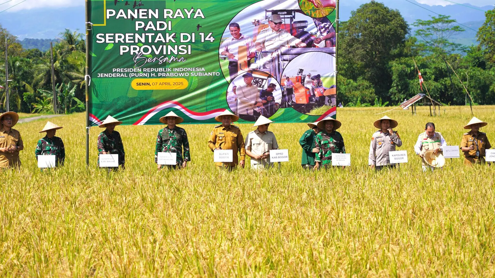 Kabupaten Bogor Dukung Ketahanan Pangan Nasional Lewat Panen Raya di Jonggol