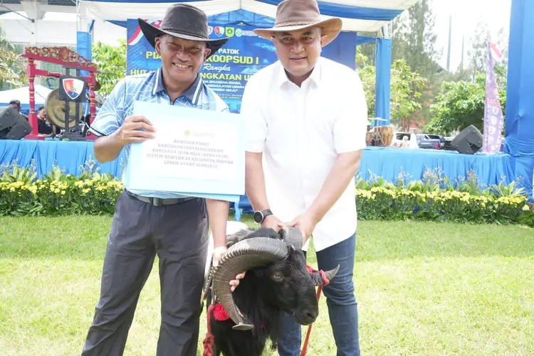 Domba Garut Juara dari Kabupaten Bogor pada HUT TNI AU ke 79 di Stadion Pakansari