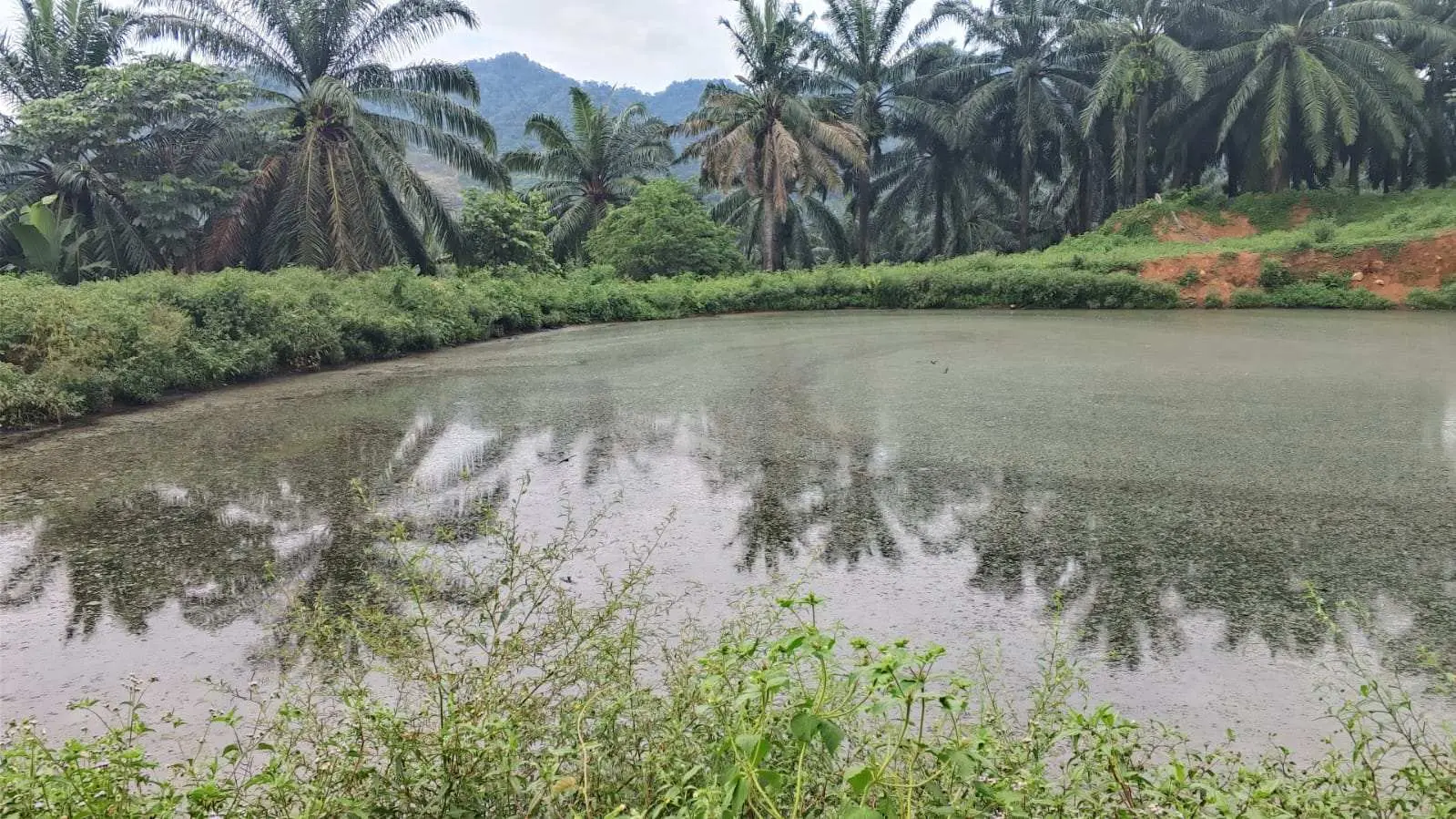 Sungai Cikalong Diduga Tercemar Limbah Pabrik, Warga Meradang Krisis Air di Mekarjaya