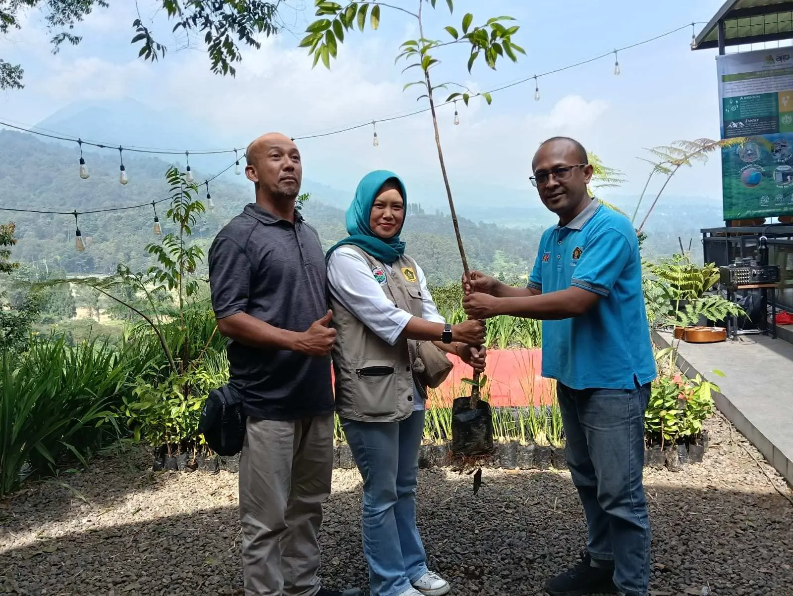 Peringati Hari Lingkungan Hidup, PT BAP Bareng PWI Tanam Seribu Pohon Di Puncak