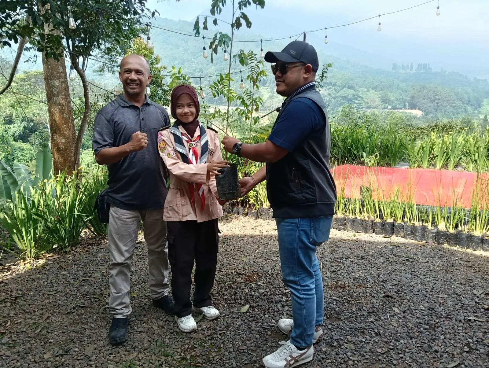 Peringati Hari Lingkungan Hidup, PT BAP Bareng PERADI Cibinong Tanam Seribu Pohon Di Puncak