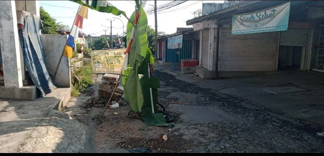 Pohon Pisang dan Spanduk Sindiran Warnai Aksi Warga Cinangka Protes Jalan Rusak