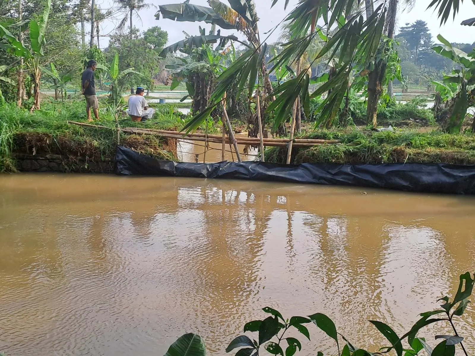Peternak Ikan Desa Babakan Terdampak Banjir, Irigasi Diajukan ke Pemerintah Pusat