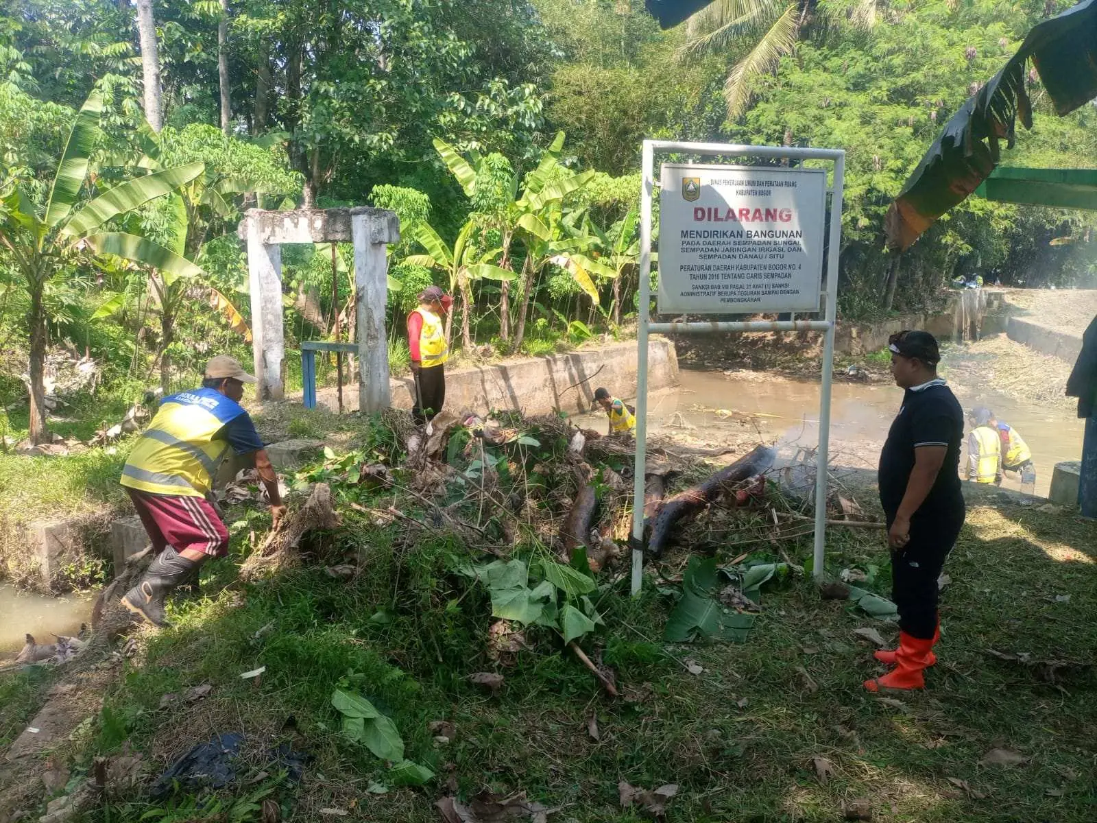 Dukung Ketahanan Pangan, UPT Irigasi Kelas A Wilayah V Jasinga Bersihkan Bendungan Bongas