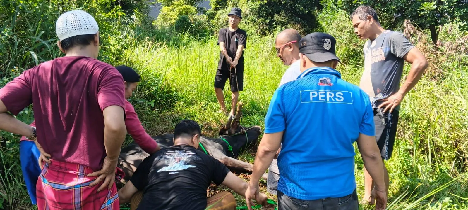 BMSN Qurban Sapi Bantuan Bupati Bogor